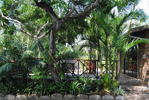 African Dreamz Guest House, 