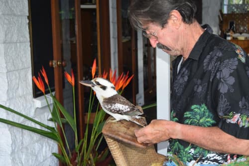 South Pacific Bed & Breakfast