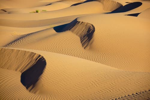 Bivouac La Dune Blanche