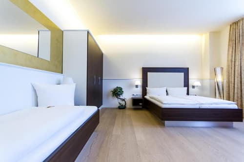 The Heidelberg Exzellenz Hotel, 