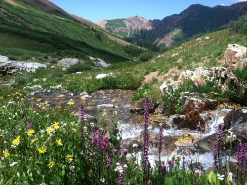 The Wanderlust Hostel, 