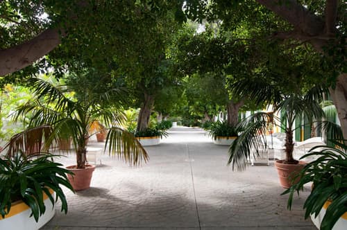 Cortijo San Ignacio, 