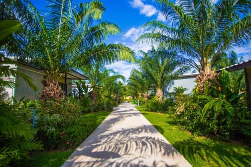 Palm Pran Resort