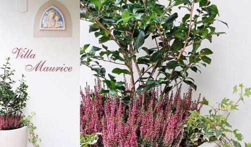 Residence Villa Maurice, 