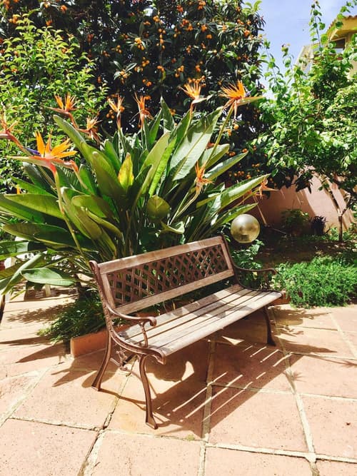 Affittacamere Ciro's House