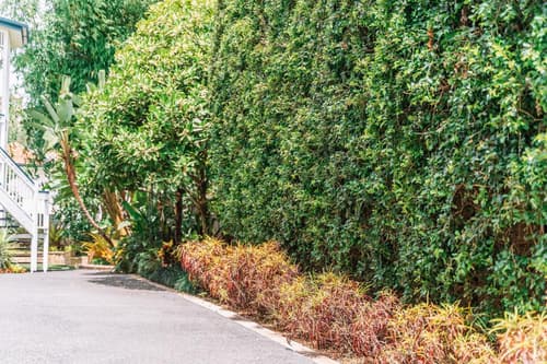 Balmoral Queenslander, 