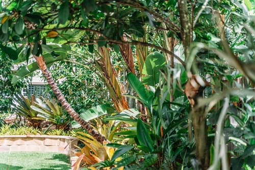 Balmoral Queenslander, 