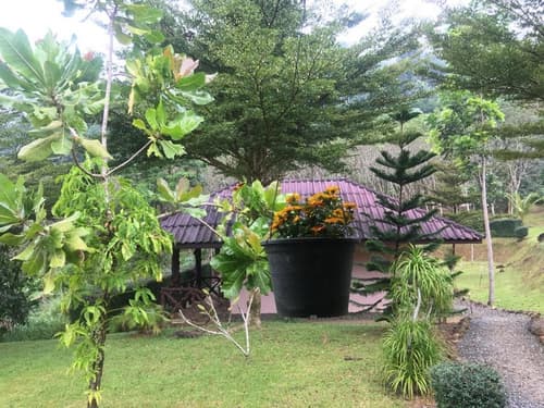 Khao Sok Hill Top Resort, 