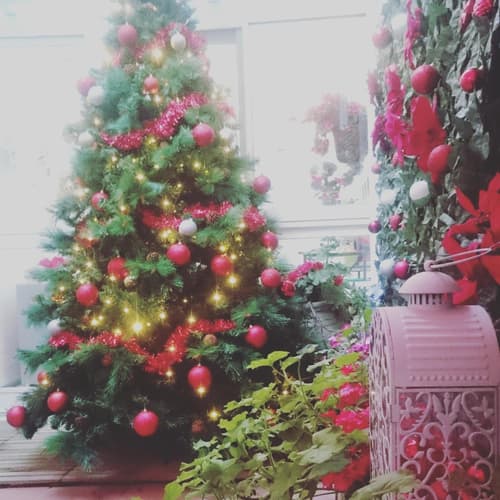 Il Cortiletto Di Piazza Verga