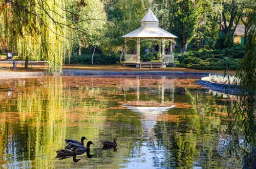 Lanterna Rooms City Center