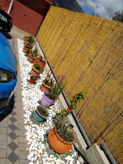 Stella 's Sea Front Apartments