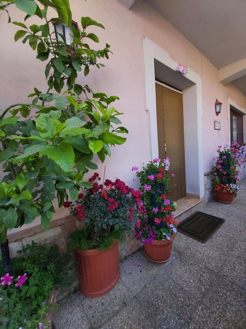 Il ritrovo delle Volpi, 