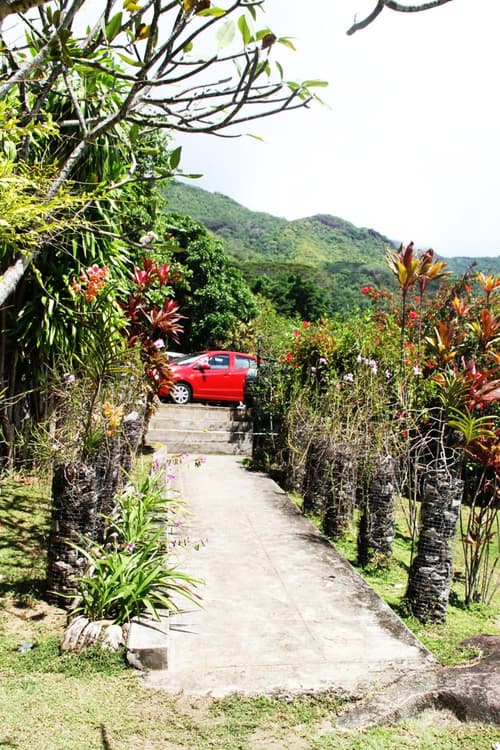 Daniella's Bungalows, 