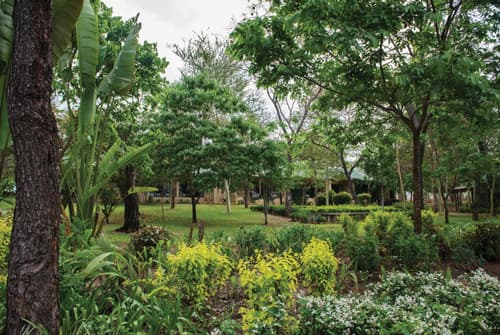 Perry's Bridge Hollow Boutique Hotel