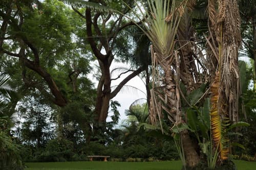 St George's Guest House, 