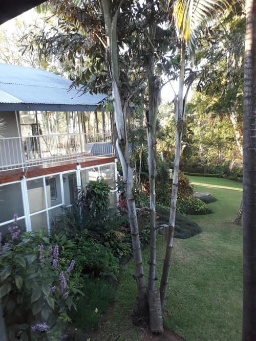 St George's Guest House, 