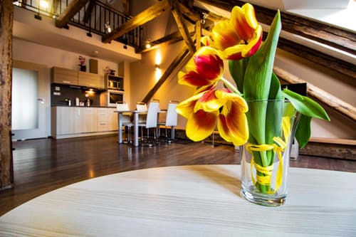 Residence U Černé Věže České Budějovice