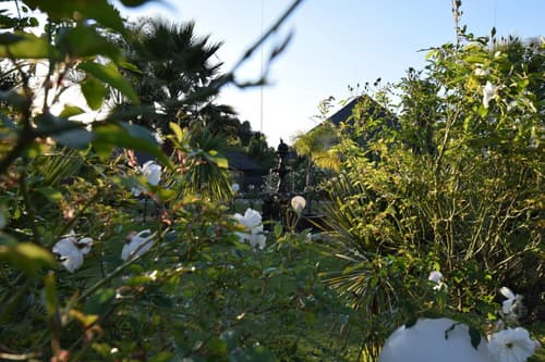 Accommodation At Thabong, 