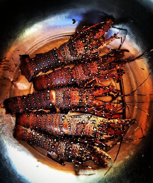 Playa Encantada Beach Resort, 