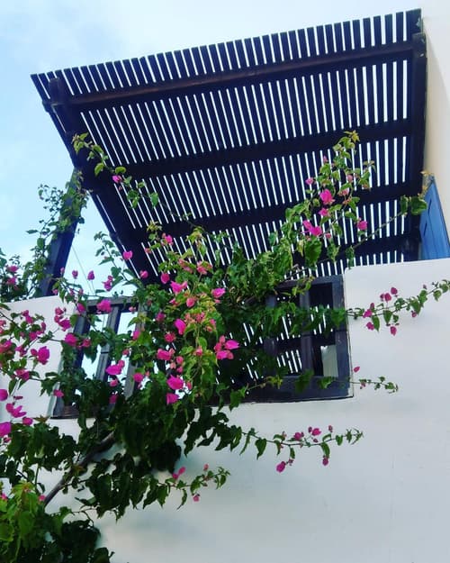 Chora Place