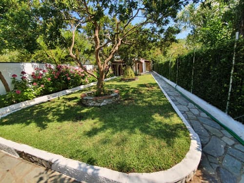 Dionisos Studios and Apts Skiathos