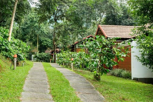 Vythiri Mist Resort, 