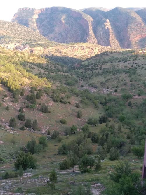 Chambre d'hôtes aya, 