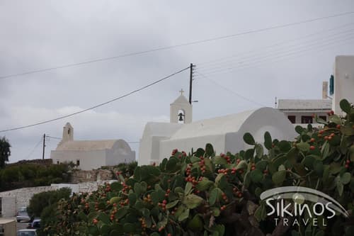 Comfy Room with Adorable View, 