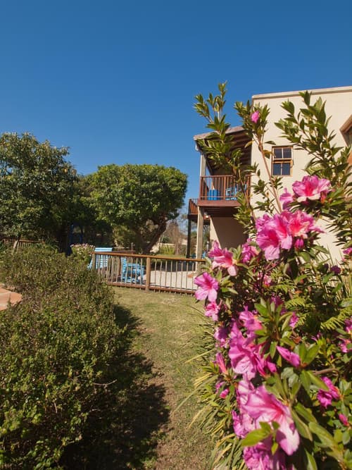 At the Woods Guest House, 