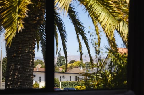 Blenheim Palms Motel