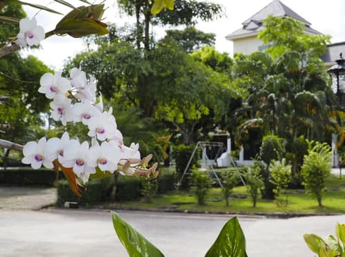 Luckswan Resort Chiang Rai - SHA Extra Plus, 