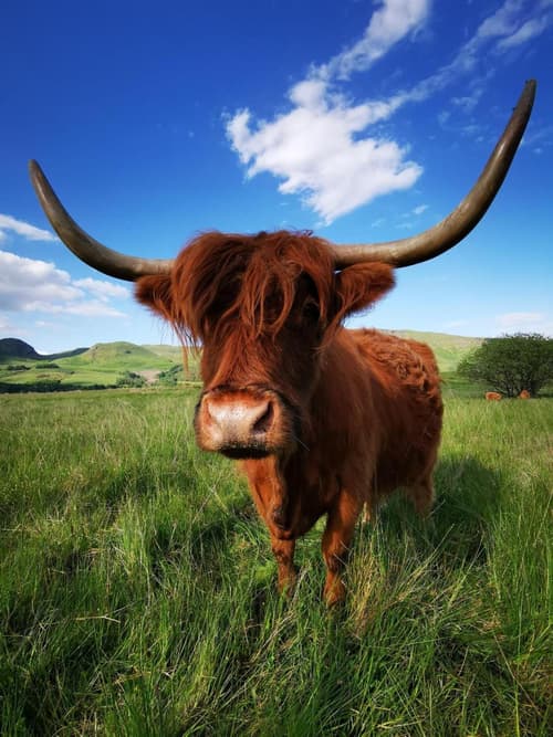 The West Highland Way Hotel and Retreat Accommodation
