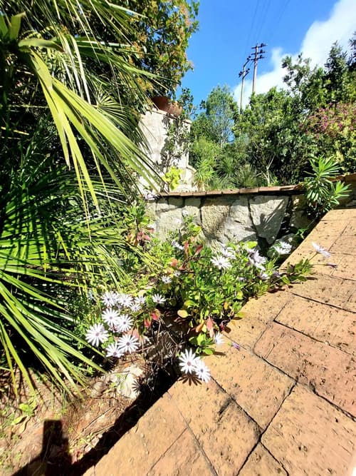 Authentic Oasis - Villa La Solara