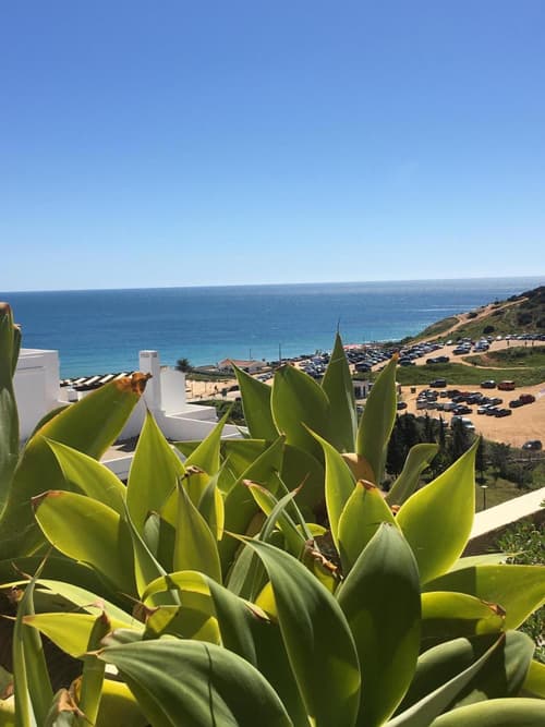 Magnolia Mar Apartamentos