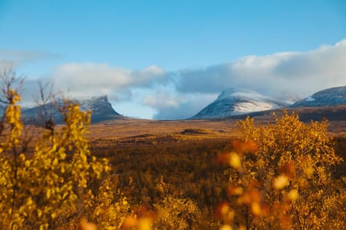 Abisko Mountain Lodge
