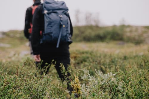 Abisko Mountain Lodge, 