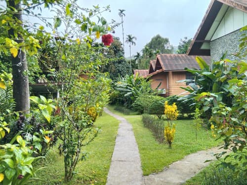 Khao Sok River & Jungle Resort, 