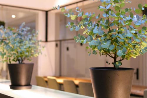 BEE GREEN Linz Self-Check-in-Hotel