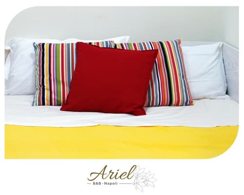 Ariel B&b