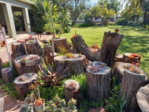 La Pension Guest House, 