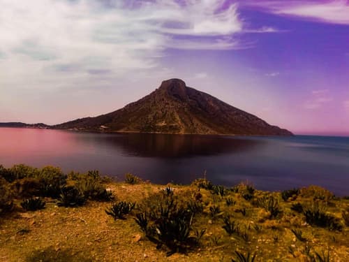 Odyssey By Climbing House, 