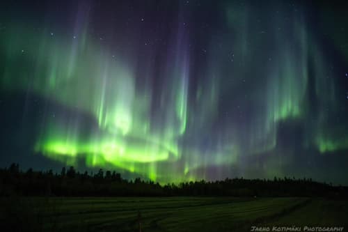 Kultahippu Hotel & Apartments, 