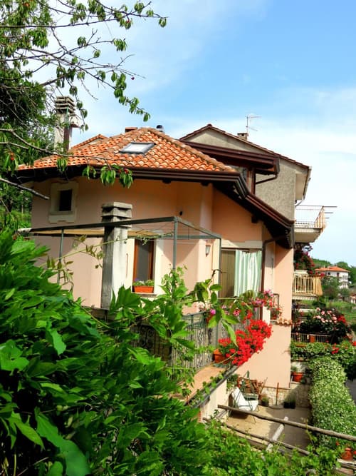 Il ritrovo delle Volpi, 