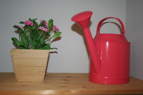 Appartamenti Urbevetus, 