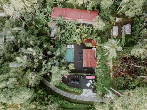 Daydream Lodge Tegallalang