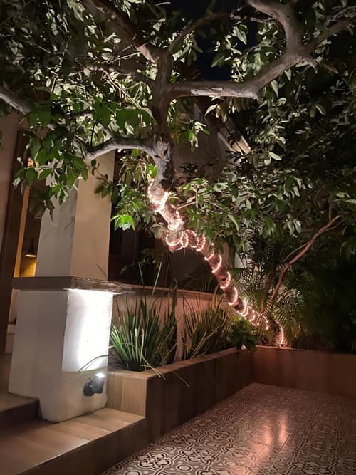 The Black Tree Hotel Boutique