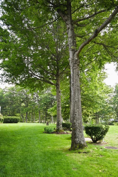 The Lodge at Jackson Village