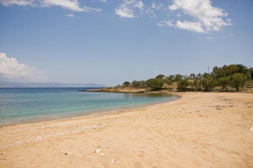 Oasis Studios Logaras