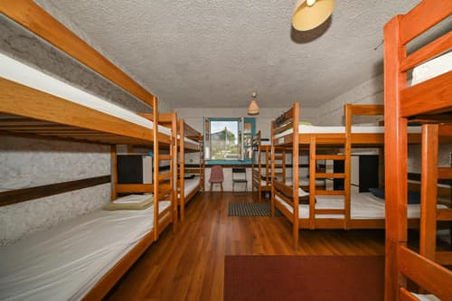 The Lazy Monkey Hostel & Apartments