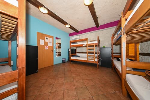 The Lazy Monkey Hostel & Apartments